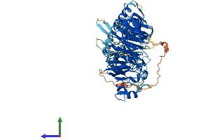 AlphaFold protein structure predicition of Human Recombinant LRWD1 Protein, UniprotID Q9UFC0 (LRWD1 Protein (AA 1-647) (His tag))