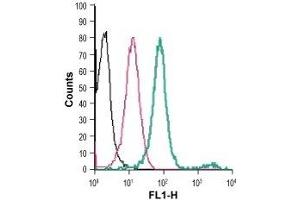 Cell surface detection of EMR1 in live intact human THP-1 monocytic leukemia cells: (black line) Cells. (F4/80 antibody  (Extracellular) (FITC))