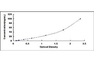 Typical standard curve (Glycogen Synthase 2 ELISA Kit)