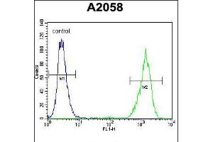 Flow cytometric analysis of A2058 cells (right histogram) compared to a negative control cell (left histogram). (RAB10 antibody  (AA 89-117))