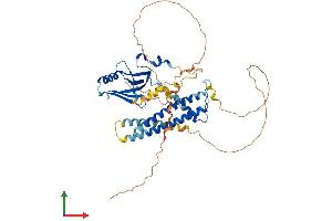 AlphaFold protein structure predicition of Mouse Recombinant Taf7l Protein, UniprotID Q9D3R9