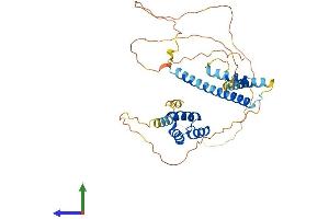 AlphaFold protein structure predicition of Mouse Recombinant Meis1 Protein, UniprotID Q60954 (MEIS1 Protein (AA 1-390) (His tag))
