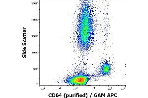 Flow cytometry surface staining pattern of human peripheral blood stained using anti-human CD64 (10. (FCGR1A antibody)