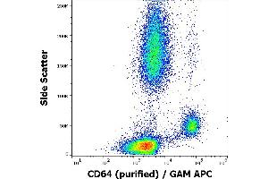 FCGR1A Antikörper