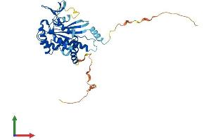 AlphaFold protein structure predicition of Human Recombinant SEPTIN12 Protein, UniprotID Q8IYM1 (Septin 12 Protein (Sep12) (AA 1-358) (His tag))