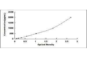 Typical standard curve (COL1A2 ELISA Kit)