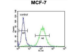 CES2 Antibody (Center) flow cytometric analysis of MCF-7 cells (right histogram) compared to a negative control cell (left histogram).