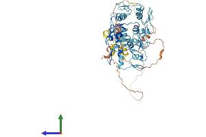 AlphaFold protein structure predicition of Human Recombinant ZNF880 Protein, UniprotID Q6PDB4 (ZNF880 Protein (AA 1-577) (His tag))