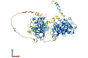 AlphaFold protein structure predicition of Mouse Recombinant Rps6ka1 Protein, UniprotID P18653 (RPS6KA1 Protein (AA 1-724) (His tag))