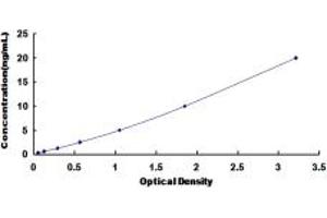 PPM1A ELISA Kit