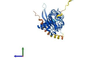 AlphaFold protein structure predicition of Mouse Recombinant Lrrc23 Protein, UniprotID O35125