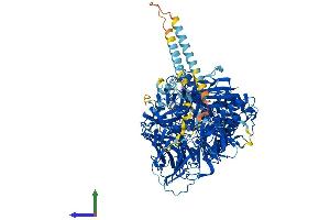 AlphaFold protein structure predicition of Human Recombinant MAN2A2 Protein, UniprotID P49641