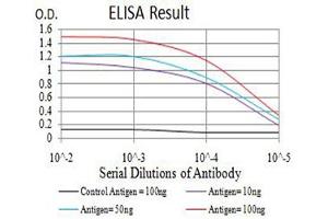 Black line: Control Antigen (100 ng),Purple line: Antigen (10 ng), Blue line: Antigen (50 ng), Red line:Antigen (100 ng) (CIRBP antibody  (AA 1-90))