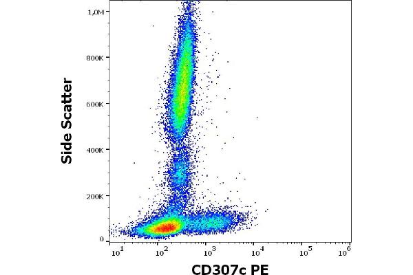 FCRL3 antibody  (PE)