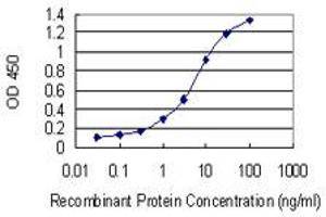 Detection limit for recombinant GST tagged MYOZ2 is 0. (MYOZ2 antibody  (AA 1-264))