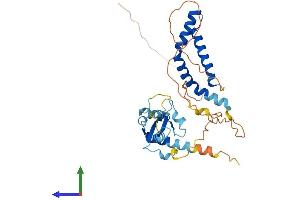 AlphaFold protein structure predicition of Mouse Recombinant Dnttip1 Protein, UniprotID Q99LB0 (DNTTIP1 Protein (AA 1-328) (His tag))