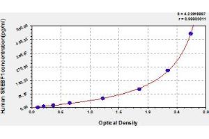 Typical Standard Curve (SREBF1 ELISA Kit)