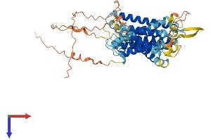 AlphaFold protein structure predicition of Human Recombinant SERINC4 Protein, UniprotID A6NH21