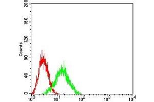 Flow cytometric analysis of HL-60 cells using IL10RB mouse mAb (green) and negative control (red). (IL10RB antibody  (AA 20-220))