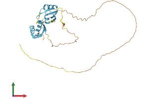 AlphaFold protein structure predicition of Human Recombinant SRSF5 Protein, UniprotID Q13243