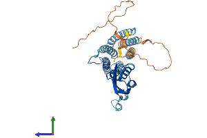 AlphaFold protein structure predicition of Human Recombinant SLC30A3 Protein, UniprotID Q99726