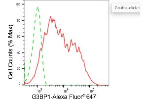 Flow cytometric analysis of G3BP1 expression in HepG2 cells using G3BP1 antibody (ABIN7798815), 1:2,000).