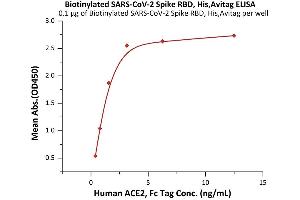 Immobilized Biotinylated SARS-CoV-2 Spike RBD, His,Avitag (ABIN6992408) at 1 μg/mL (100 μL/well) on streptavidin precoated (0.