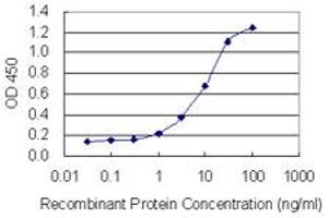 Detection limit for recombinant GST tagged OVGP1 is 0. (OVGP1 antibody  (AA 579-677))