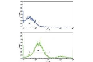 Flow cytometric analysis of ZR-75-1 cells using MCL1 antibody (green) compared to a negative control (blue).