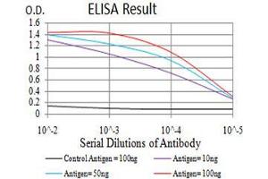 Black line: Control Antigen (100 ng),Purple line: Antigen (10 ng), Blue line: Antigen (50 ng), Red line:Antigen (100 ng) (AKT1 antibody  (AA 1-150))