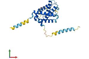 AlphaFold protein structure predicition of Mouse Recombinant Bok Protein, UniprotID O35425 (BOK Protein (AA 1-213) (His tag))