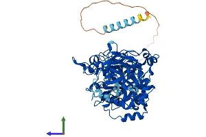 AlphaFold protein structure predicition of Mouse Recombinant Galnt2 Protein, UniprotID Q6PB93 (GALNT2 Protein (AA 1-570) (His tag))