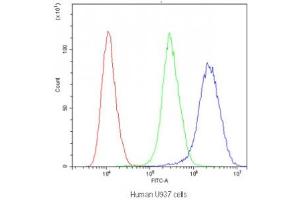 Flow Cytometry (FACS) image for anti-Protein tyrosine Phosphatase Type IVA, Member 2 (PTP4A2) antibody (ABIN4952318)