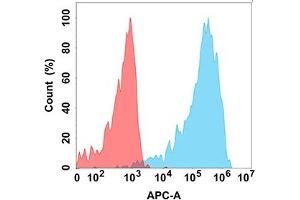 Flow Cytometry (FACS) image for anti-C-Type Lectin Domain Family 12, Member A (CLEC12A) (AA 65-265) antibody (ABIN7092964)