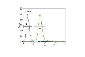 TNFR- Antibody (ABIN655093 and ABIN2844728) flow cytometric analysis of A549 cells (right histogram) compared to a negative control cell (left histogram). (TNFR-S274 (AA 252-281) antibody)