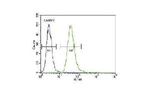 TNFR- Antibody (ABIN655093 and ABIN2844728) flow cytometric analysis of A549 cells (right histogram) compared to a negative control cell (left histogram). (TNFR-S274 (AA 252-281) antibody)