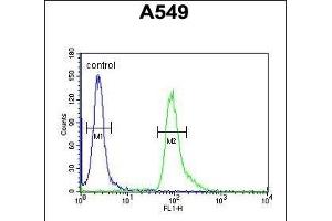 ABHD12 Antibody (N-term) (ABIN652851 and ABIN2842551) flow cytometric analysis of A549 cells (right histogram) compared to a negative control cell (left histogram). (ABHD12 antibody  (N-Term))