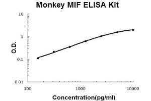 Monkey Primate MIF PicoKine ELISA Kit standard curve (MIF ELISA Kit)