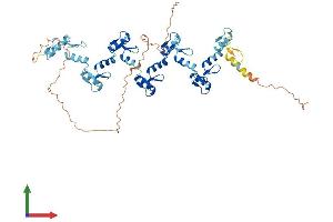 AlphaFold protein structure predicition of Human Recombinant ZNF623 Protein, UniprotID O75123