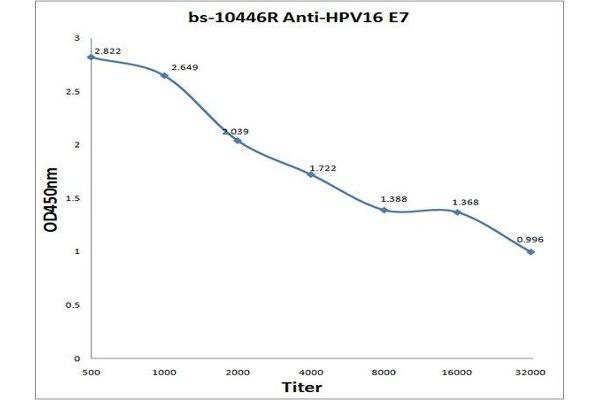 HPV16 E7 antibody  (Middle Region)