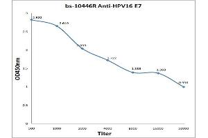 Antigen: 0. (HPV16 E7 antibody  (Middle Region))