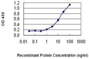 Detection limit for recombinant GST tagged PKIB is 0. (PKIB antibody  (AA 2-54))