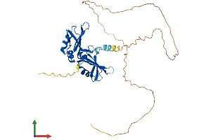 AlphaFold protein structure predicition of Human Recombinant HNRNPA2B1 Protein, UniprotID P22626 (HNRNPA2B1 Protein (AA 1-353) (His tag))