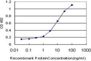 Detection limit for recombinant GST tagged TEK is approximately 0. (TEK antibody  (AA 701-800))