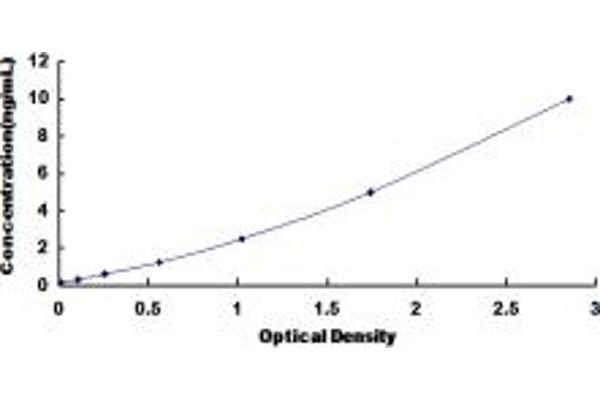SLC38A1 ELISA Kit