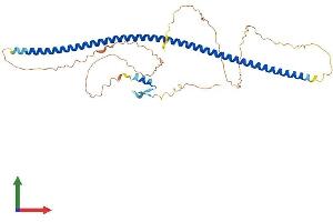AlphaFold protein structure predicition of Human Recombinant ZNF365 Protein, UniprotID Q70YC5