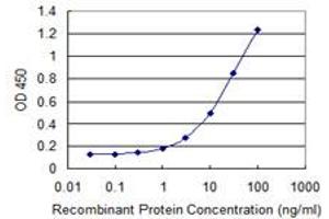 Detection limit for recombinant GST tagged DPP8 is 0. (DPP8 antibody  (AA 161-244))