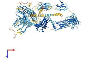 AlphaFold protein structure predicition of Human Recombinant MYOM2 Protein, UniprotID P54296 (MYOM2 Protein (AA 1-1465) (His tag))