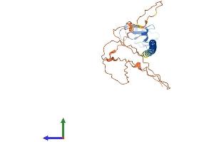 Protein Structure (PS) image for Ring Finger Protein 212 (RNF212) (AA 1-297) protein (His tag) (ABIN7551484)