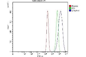 Flow Cytometry analysis of THP-1 cells using anti-GPCR TGR5/GPBAR1 antibody (ABIN7602425). (GPBAR1 antibody  (AA 76-310))